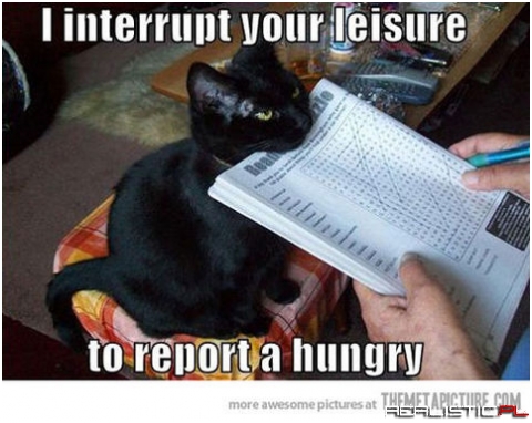 Report