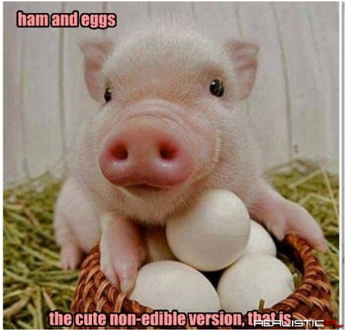 Sam I Am Would Approve
