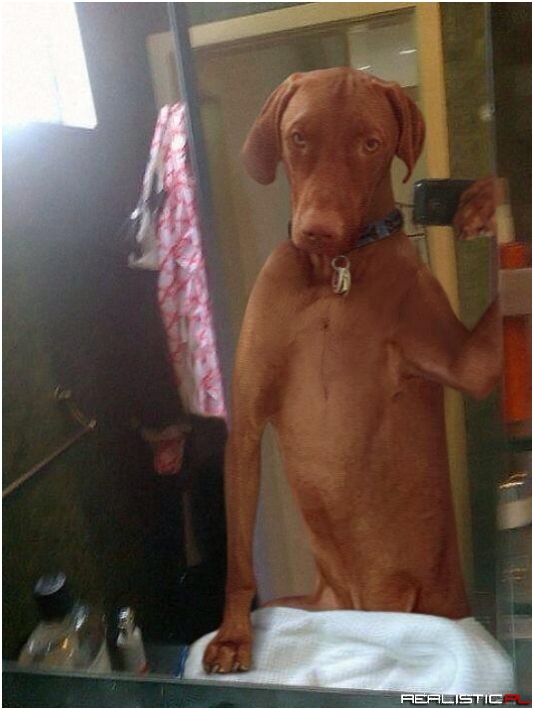 Selfie