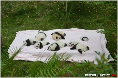 So cute