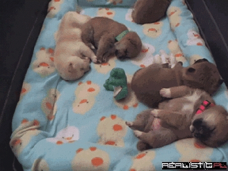 So cute