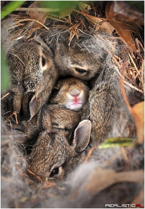 So Many Squees!