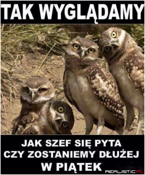 Tak wyglądamy