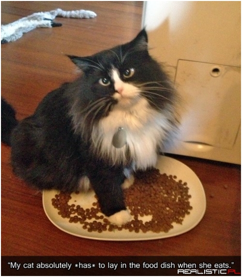 That's How It Works, Right