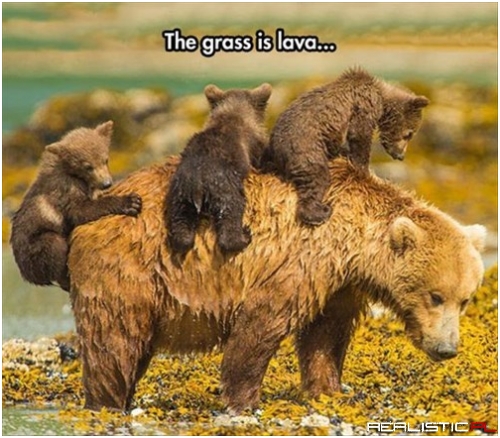The Joys Of Motherhood