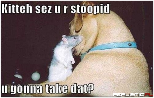 The Origin Of An Age Old Feud