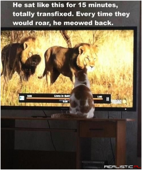The Wild Is Calling