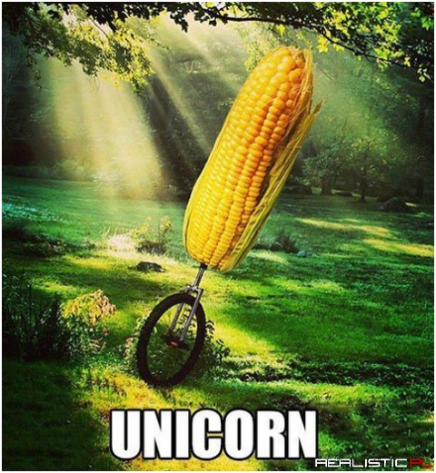 Unicorn
