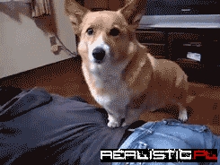 WAKE UP!