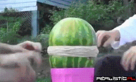 Watermelon and rubberbands
