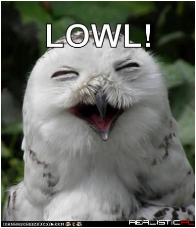 What Do You Call A Happy Owl