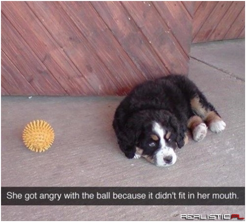Whatever Ball..