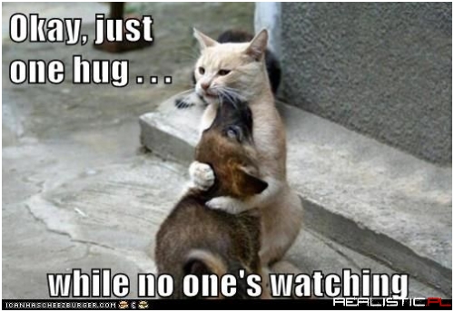 You Big Softy