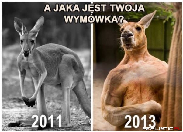 A jaka jest Twoja wymówka