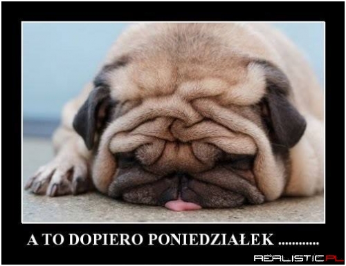 A to dopiero poniedziałek ...