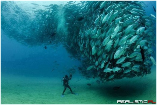 Amazing!
