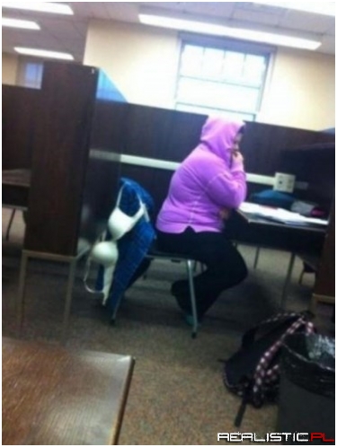 Apparently She's Going to Study for a While