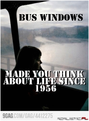 Bus windows