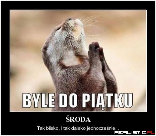 Byle do piątku ....