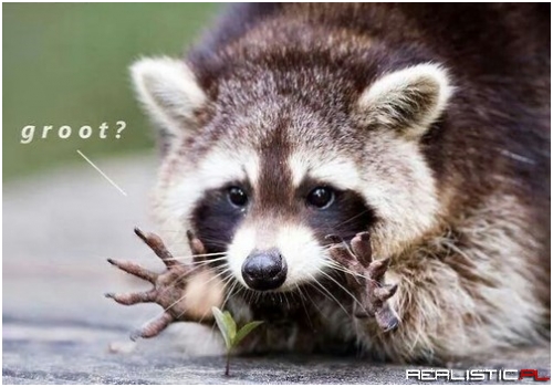 Can't Wait For This Spin-Off Movie