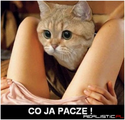 Co ja pacze