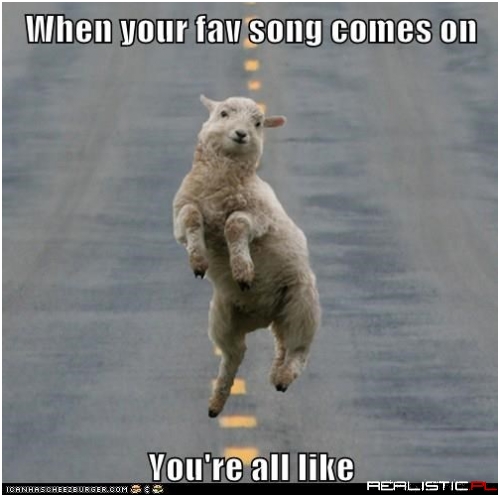 Don't Be Sheepish, Dance!