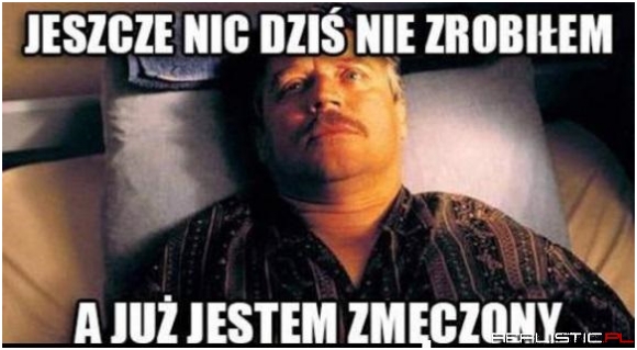 Dzień świra