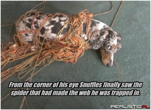 Get Out of There Snuffles!