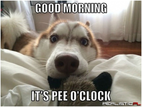 Good morning
