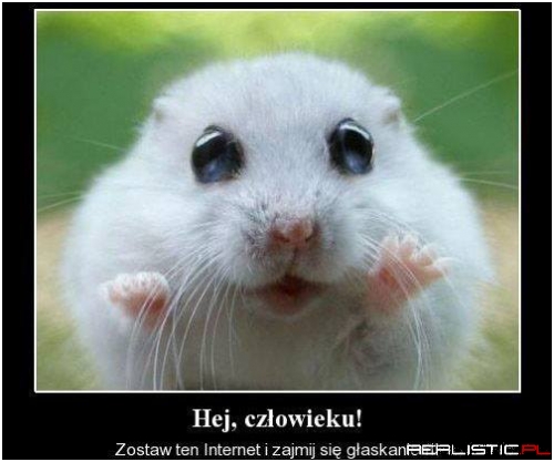 Hej człowieku!