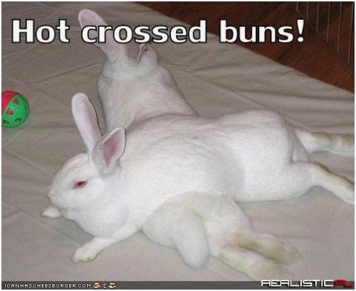 I Have a Hare in Mine