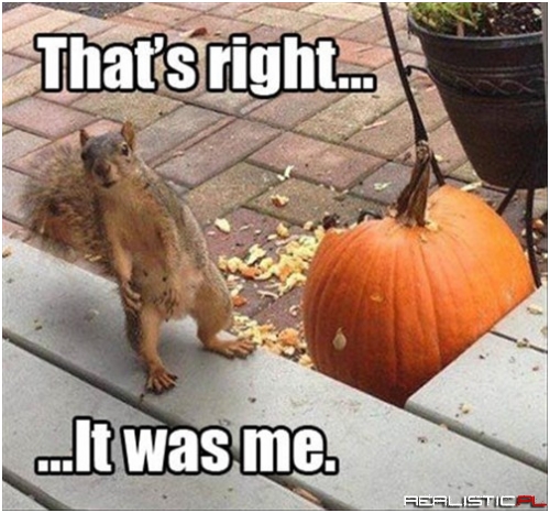 I'm Willing to Take the Fall This Halloween