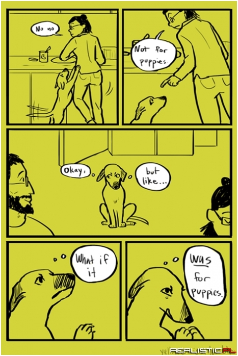 Impeccable Logic, Dog