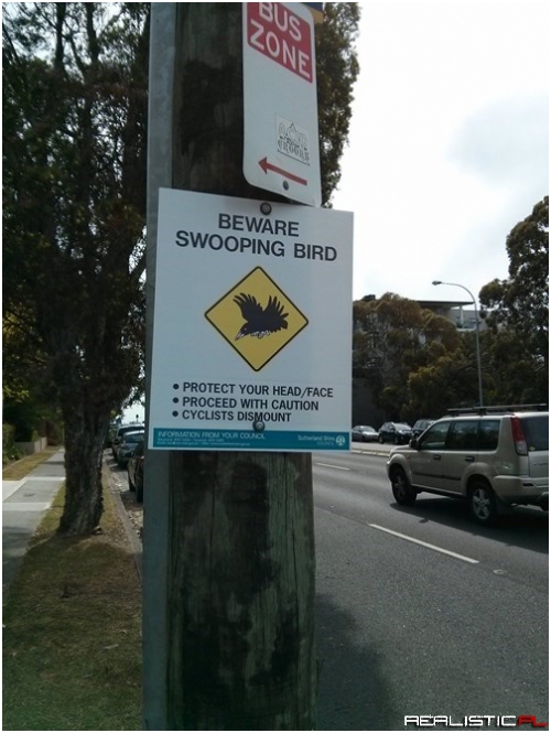 Just Another Day in Australia