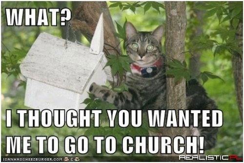 Just Dipping My Paw In the Collections