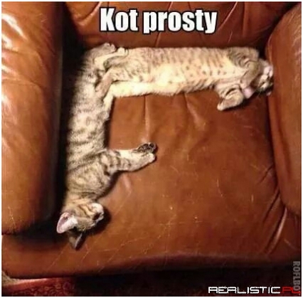 Kot prosty
