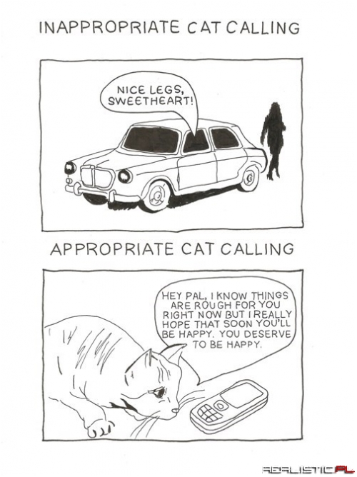 Literal Cat Calling is a Treat!
