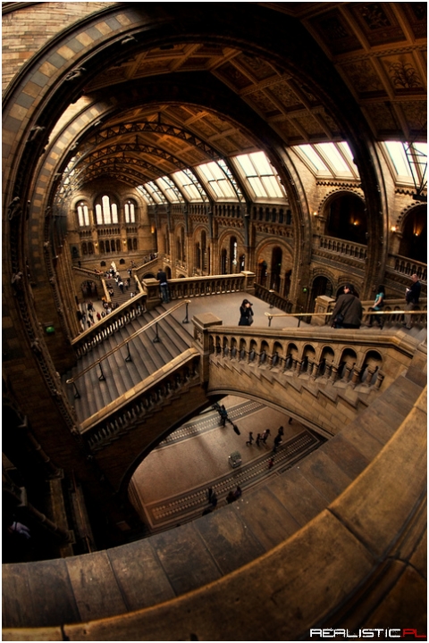 Natural History Museum, London