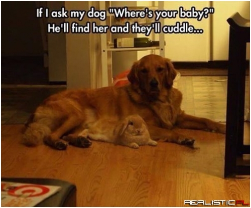 Nothing Wrong with a Little Cuddle Session