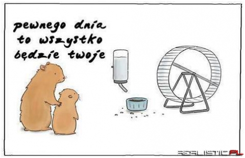Pewnego dnia