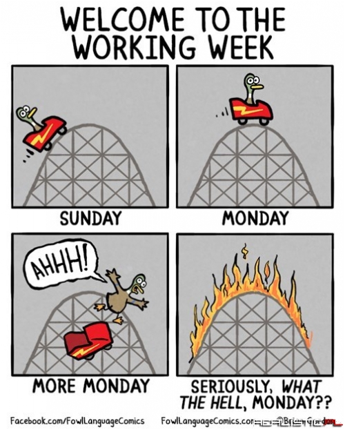 Pretty Much Sums It Up