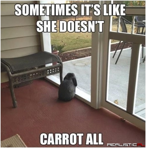 She's All Hopped Out