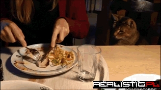 That Looks Great