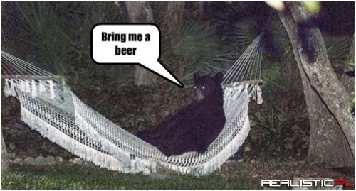 This Bear Reminds Me of My Husband