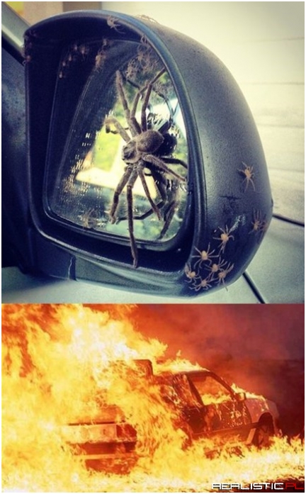 Time to Collect the Insurance Money on This Car