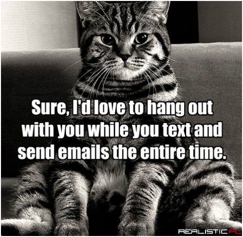 Too Real, Kitty, Too Real