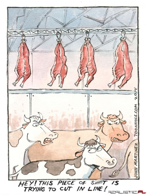 Typical Night at the Local Meat Market