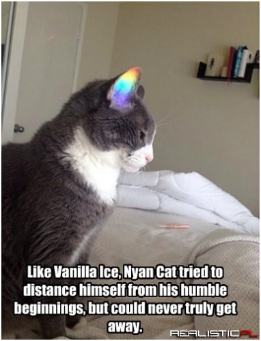 You Do One Endless Flying Cat Song