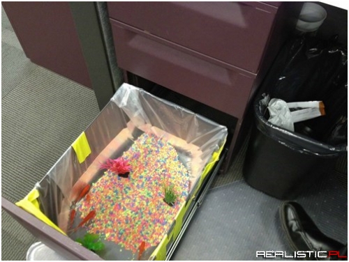 You Weren't Using That Drawer Anyway...