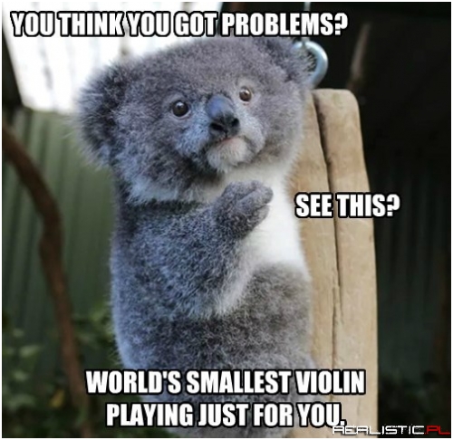 Your Problems are Un-Koala-fied